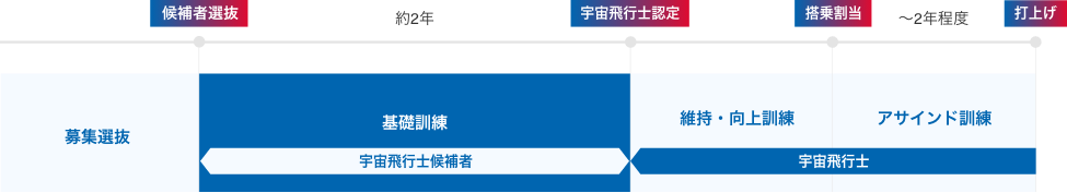 宇宙飛行士養成プロセスにおける位置づけ