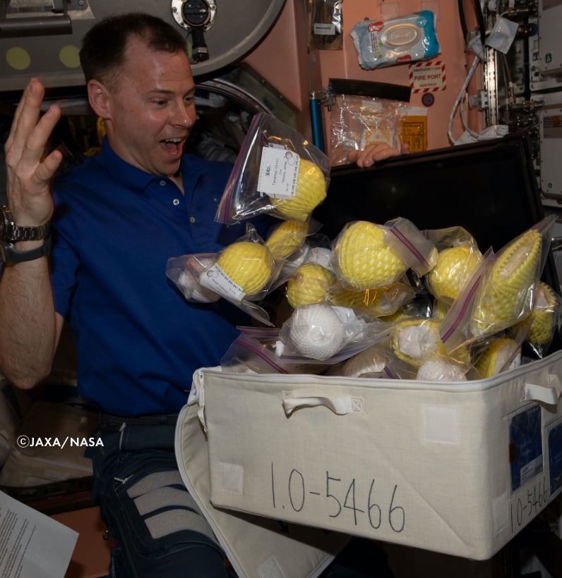 astronaut food nasa