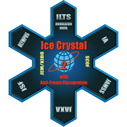 Ice Crystal2