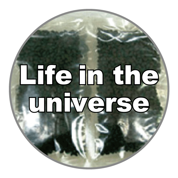 宇宙を旅した植物を育てよう～「宇宙と生命」を学ぶ教育ミッション サンプルリターンミッション