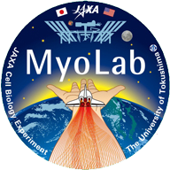 Myo Lab