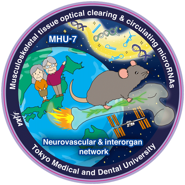 【MHU-7】臓器連関の視点から解き明かす加齢性筋骨格系疾患の発症機構