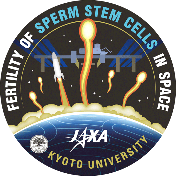 科学利用（生命医科学）テーマ「宇宙環境が精子幹細胞の繁殖能力へ及ぼす影響の解析（Sperm Stem Cells）」紹介を公開
