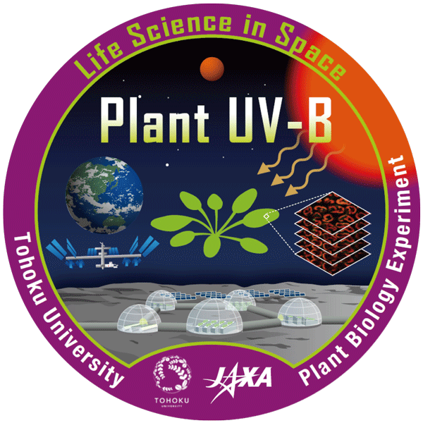 宇宙微小重力・高紫外線環境ストレスに対する植物の応答解析