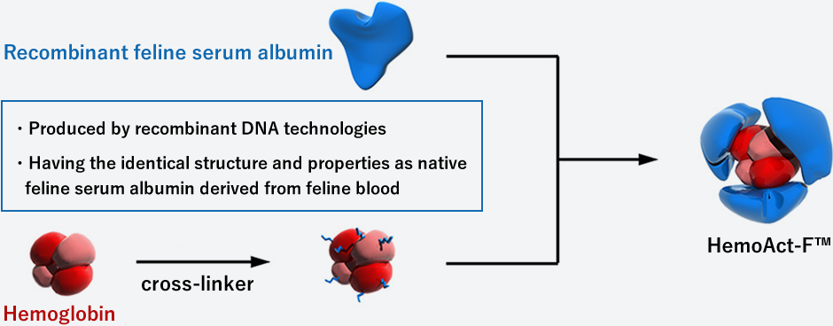 HemoAct-F? has the structure that recombinant feline serum albumin encloses hemoglobin purified from bovine red blood cells. It is expected that HemoAct-F? achieves a revolution in transfusion treatment in feline.