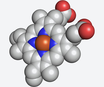 Heme group (carbon in white, nitrogen in blue, oxygen in red, and iron in brown)