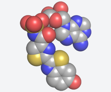 Luciferin molecule (carbon in gray, nitrogen in blue, oxygen in red and sulfur in yellow)