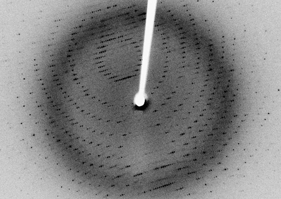 Fig. 2 An example image of diffraction spots