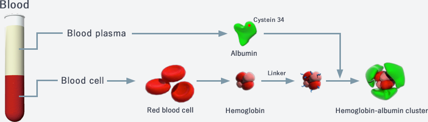 Hemoglobin-albumin cluster：HemoAct™
