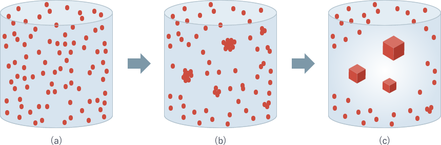 Fig. 1: The protein in the solution nucleates and grows into a crystal