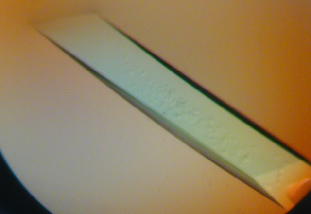 Fig. 4: Crystals of ChiW-SLHD grown  under microgravity