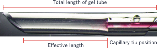 The length from the capillary edge in the gel tube to the surface accessing the external solution when the capillary is connected with a gel tube (see the figure).