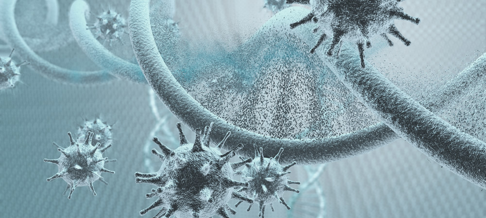 ウイルスを退治するにはタンパク質がカギ