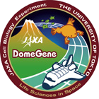 Dome Geneパッチロゴ