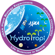 Hydro Tropiパッチロゴ
