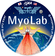 Myo Labパッチロゴ